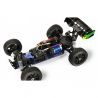 Pirate Snake Brushless  - T2M T4969B - 1/10