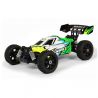 Pirate Snake Brushless  - T2M T4969B - 1/10